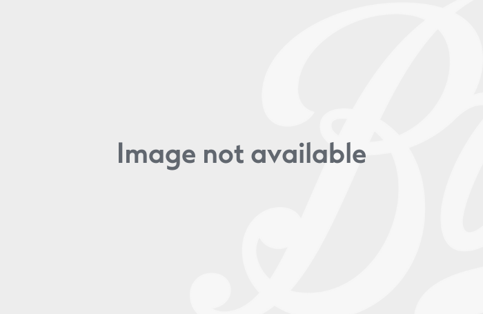 Boots Logo
